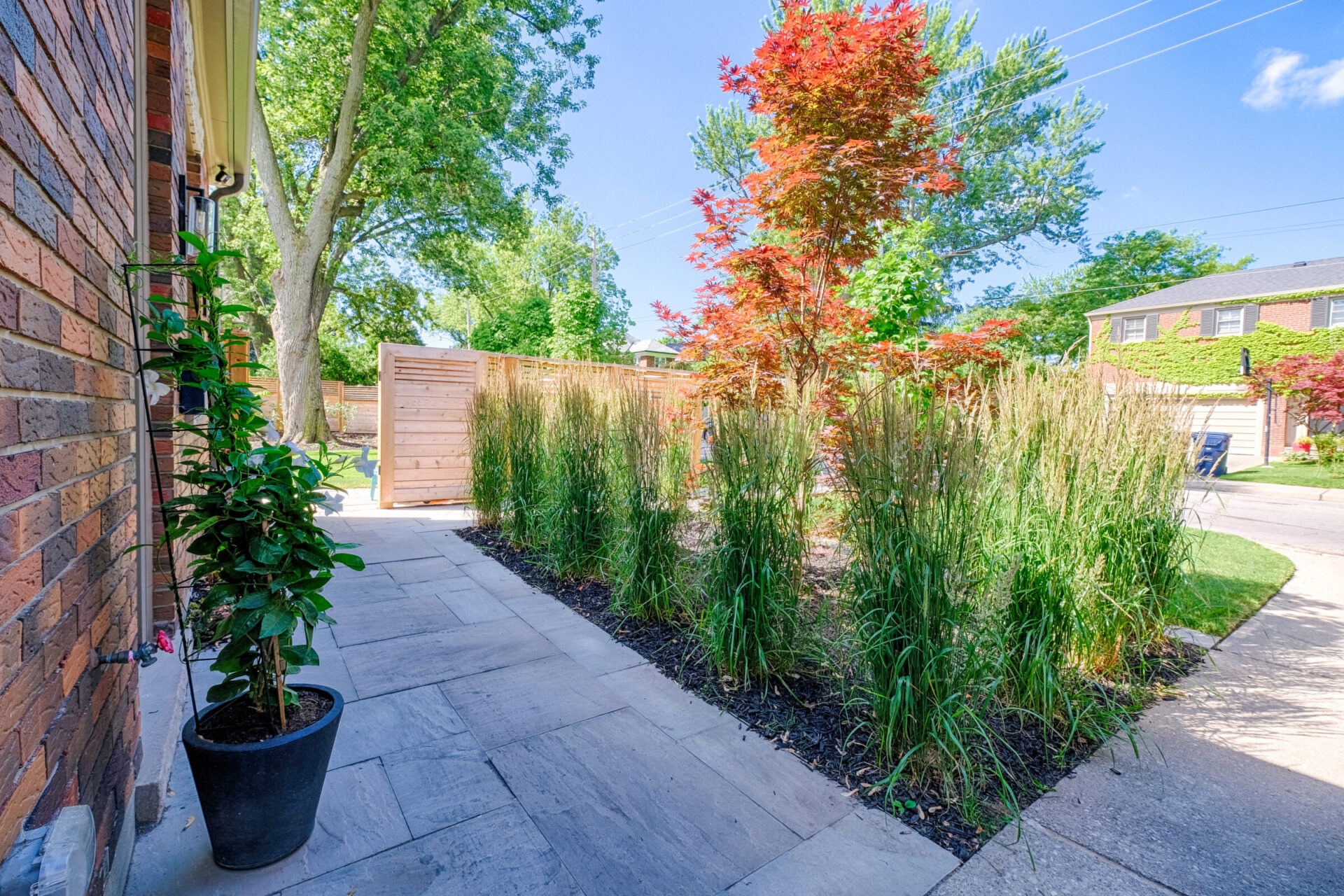 This image shows a landscaped residential exterior with stone path, lush ornamental grasses, a wooden fence, and bright blue sky on a sunny day.