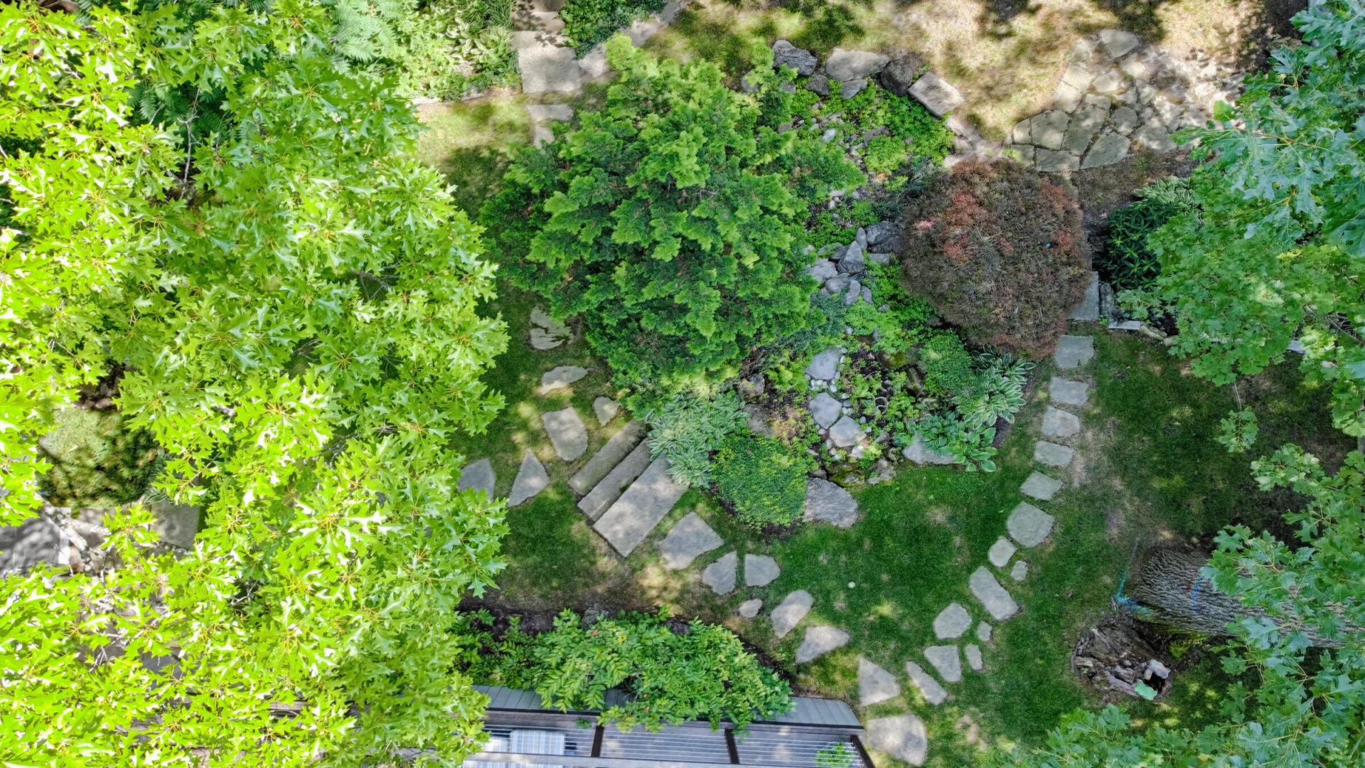 An aerial view of a lush garden with a stone pathway, various green plants, and a section of a rooftop visible at the bottom edge.