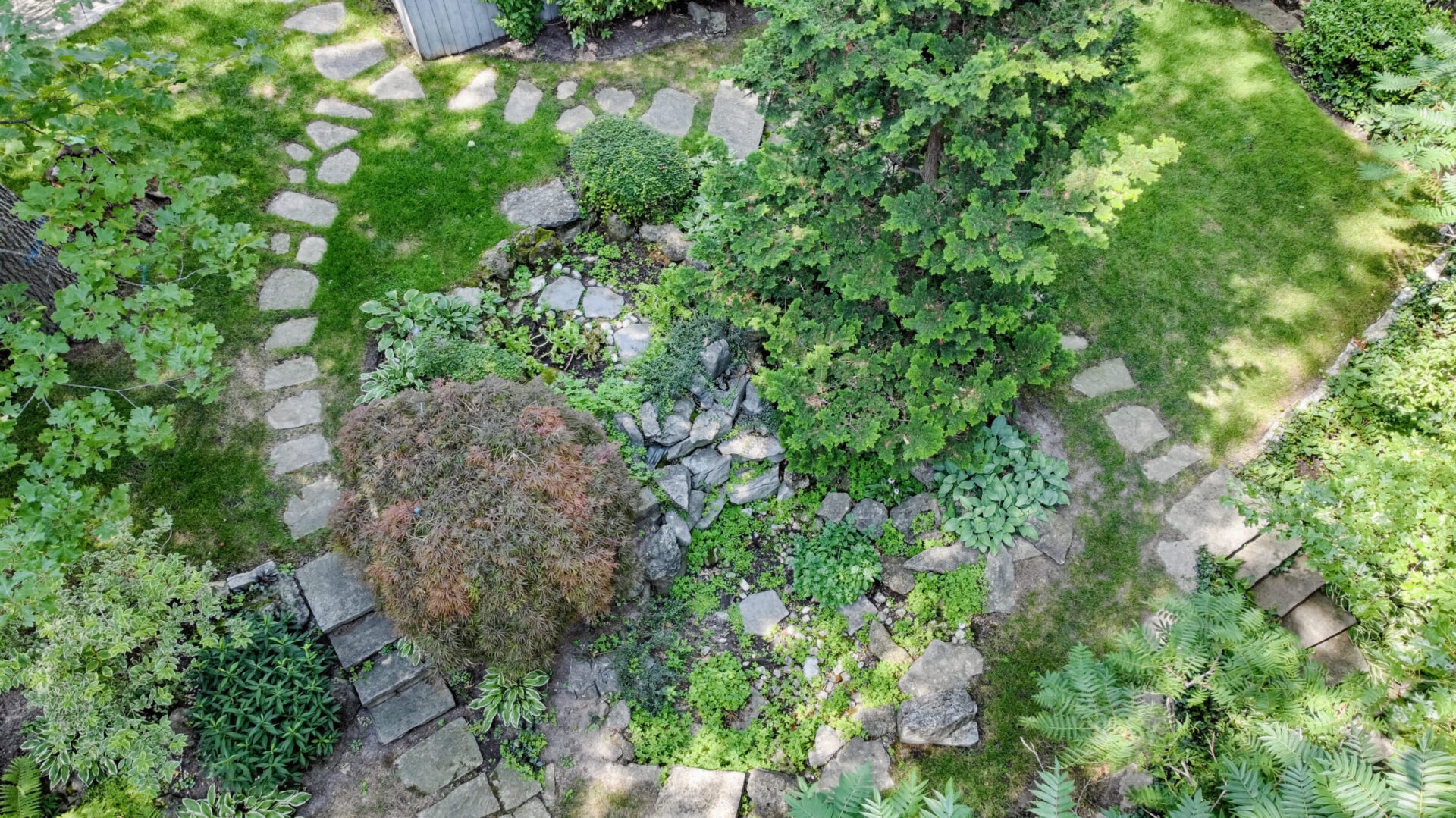 Aerial view of a lush garden with a stone path, various green plants, shrubs, a small tree, and a neatly trimmed lawn area.