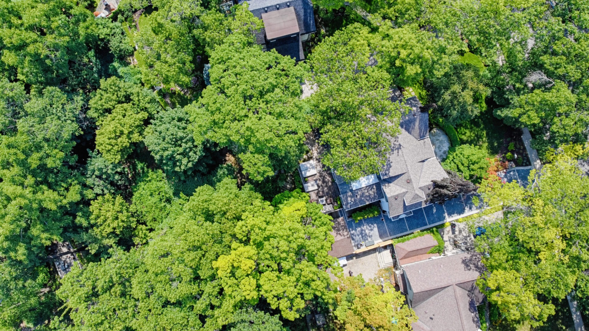 Aerial view of a lush neighborhood with houses surrounded by dense green trees under bright lighting, showcasing a blend of nature and habitation.