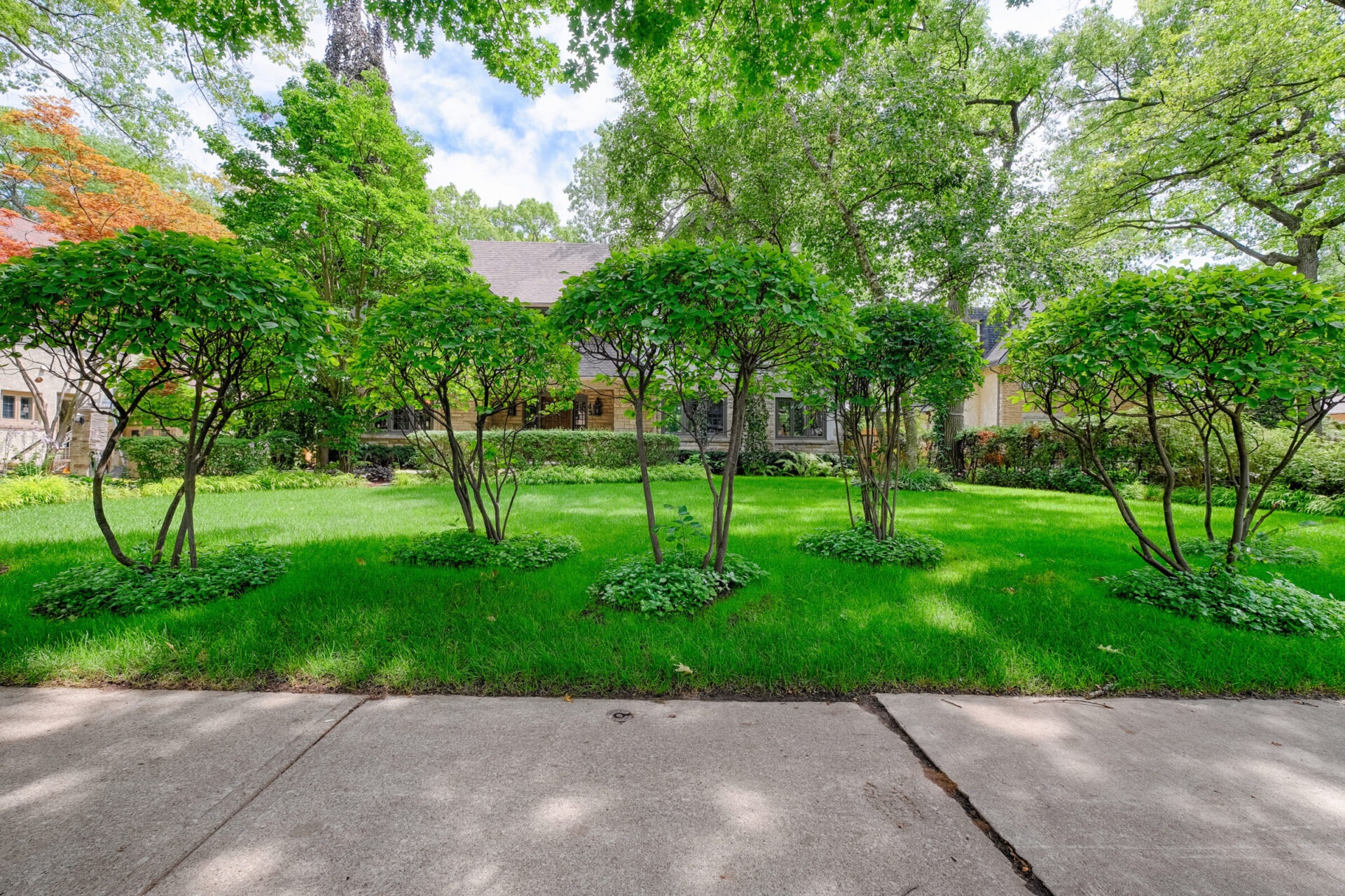 A tranquil suburban scene depicting a lush lawn in front of an elegant house, framed by ornamental trees, under a clear, sunny sky.