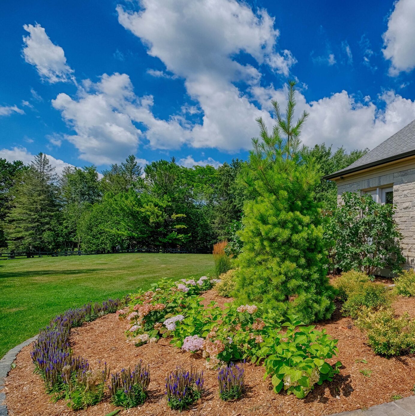 A well-manicured garden with flowering shrubs and a stone house under a sunny sky with fluffy clouds. Green lawn and trees in the background.
