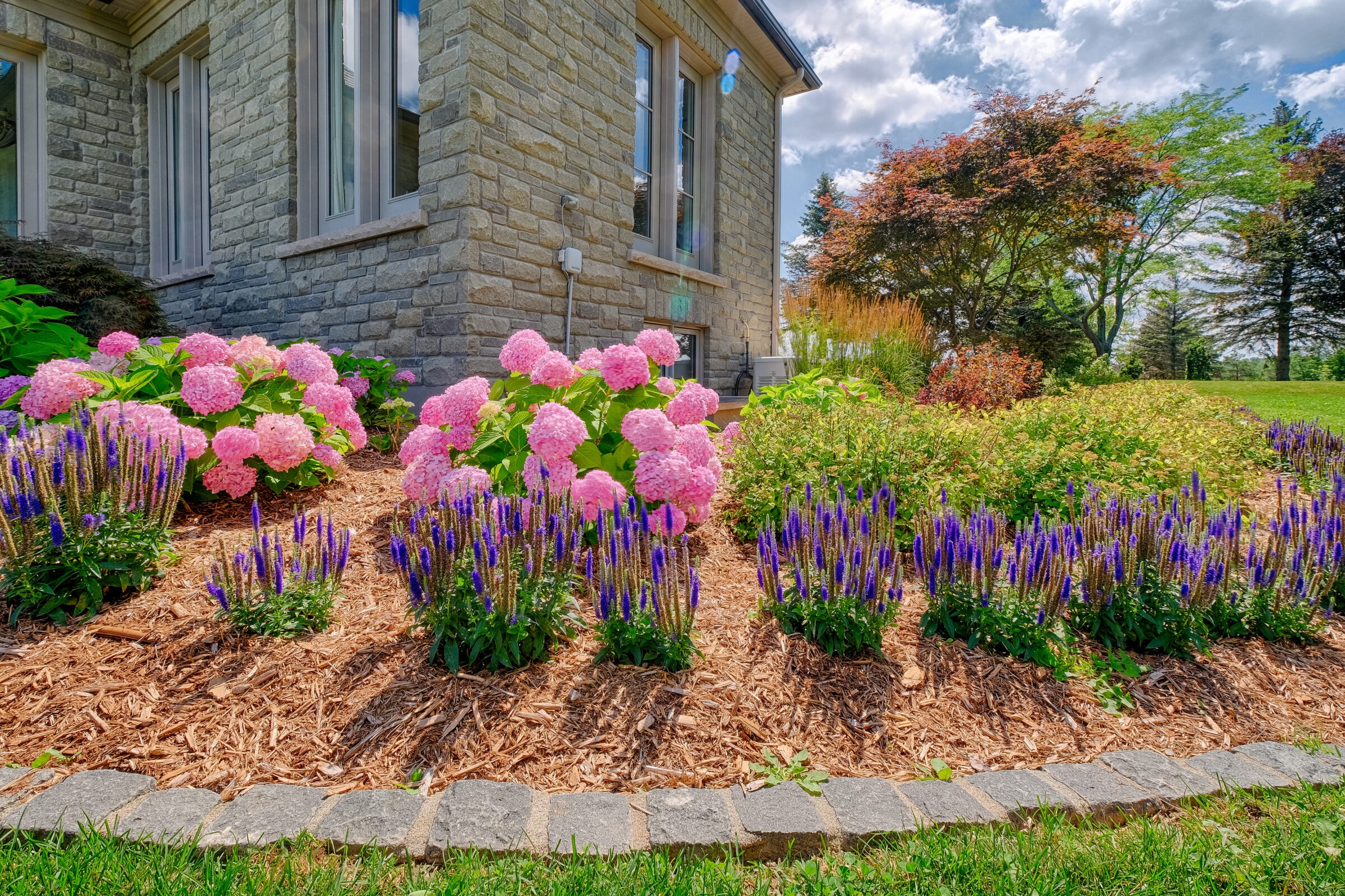 A landscaped garden with pink hydrangeas and purple spike flowers in front of a stone building, under a blue sky with fluffy clouds.