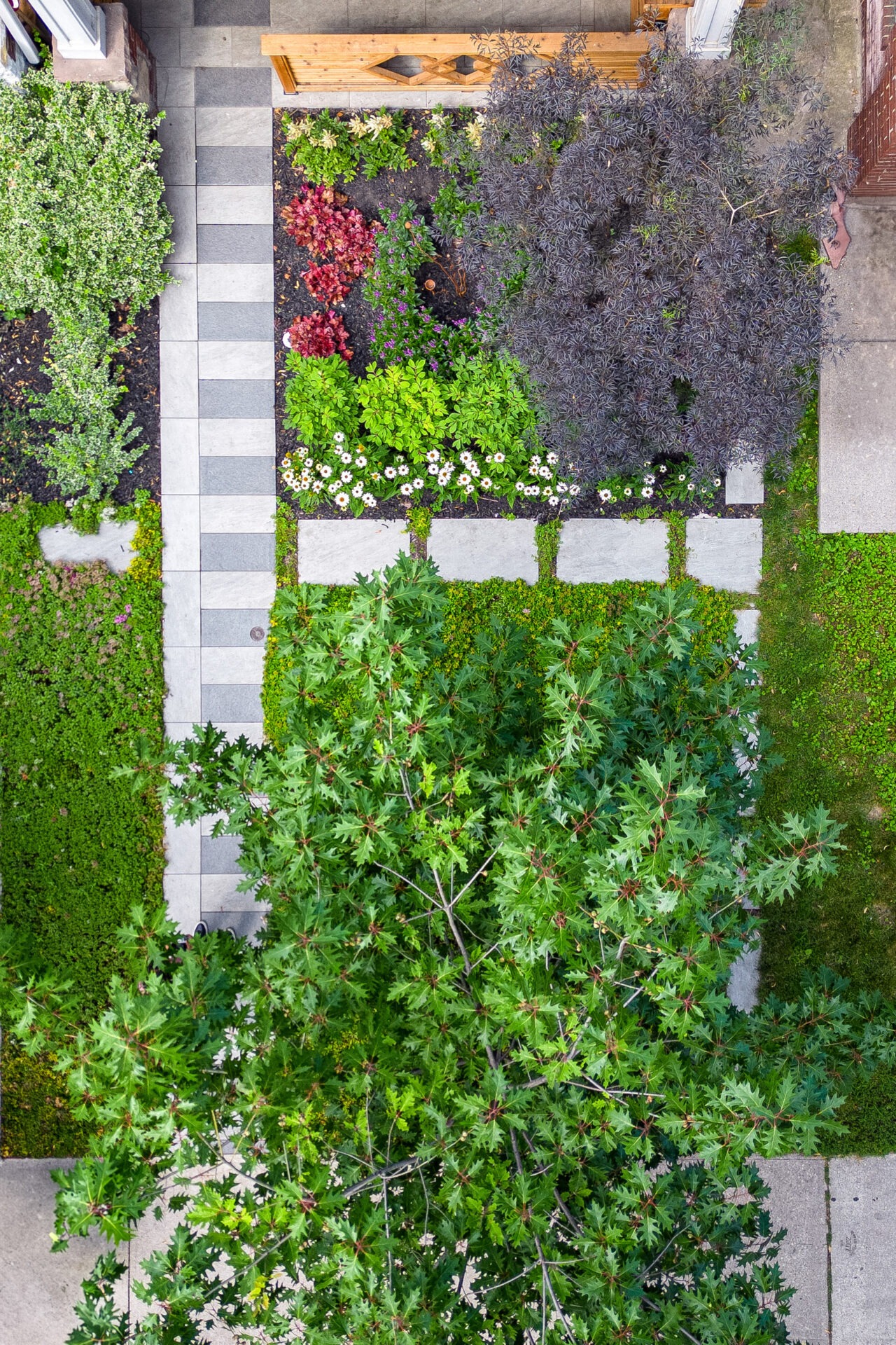 An aerial view of a well-manicured garden with a checkered pathway, assorted plants, flowering shrubs, and a wooden bench, showcasing organized landscaping.