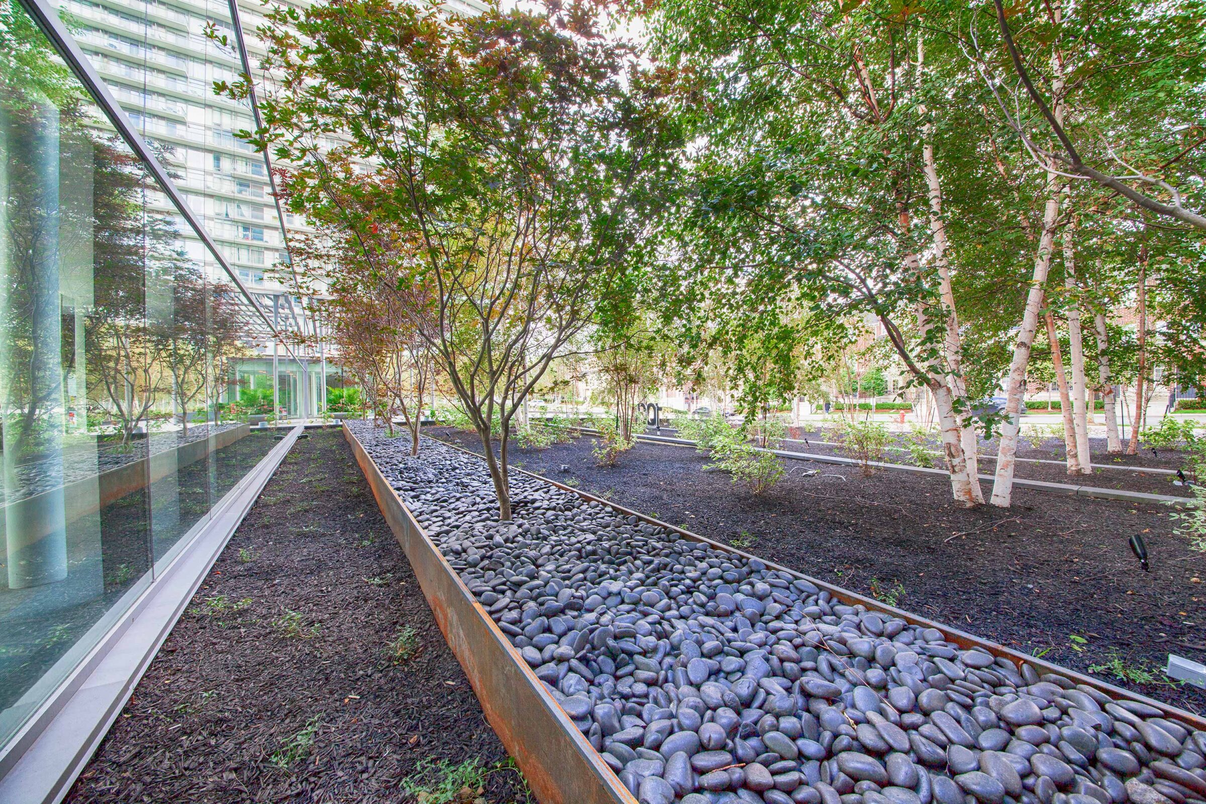 A modern urban garden with raised beds of smooth stones, young trees, and mulched soil flanked by a glass building and open space outside.