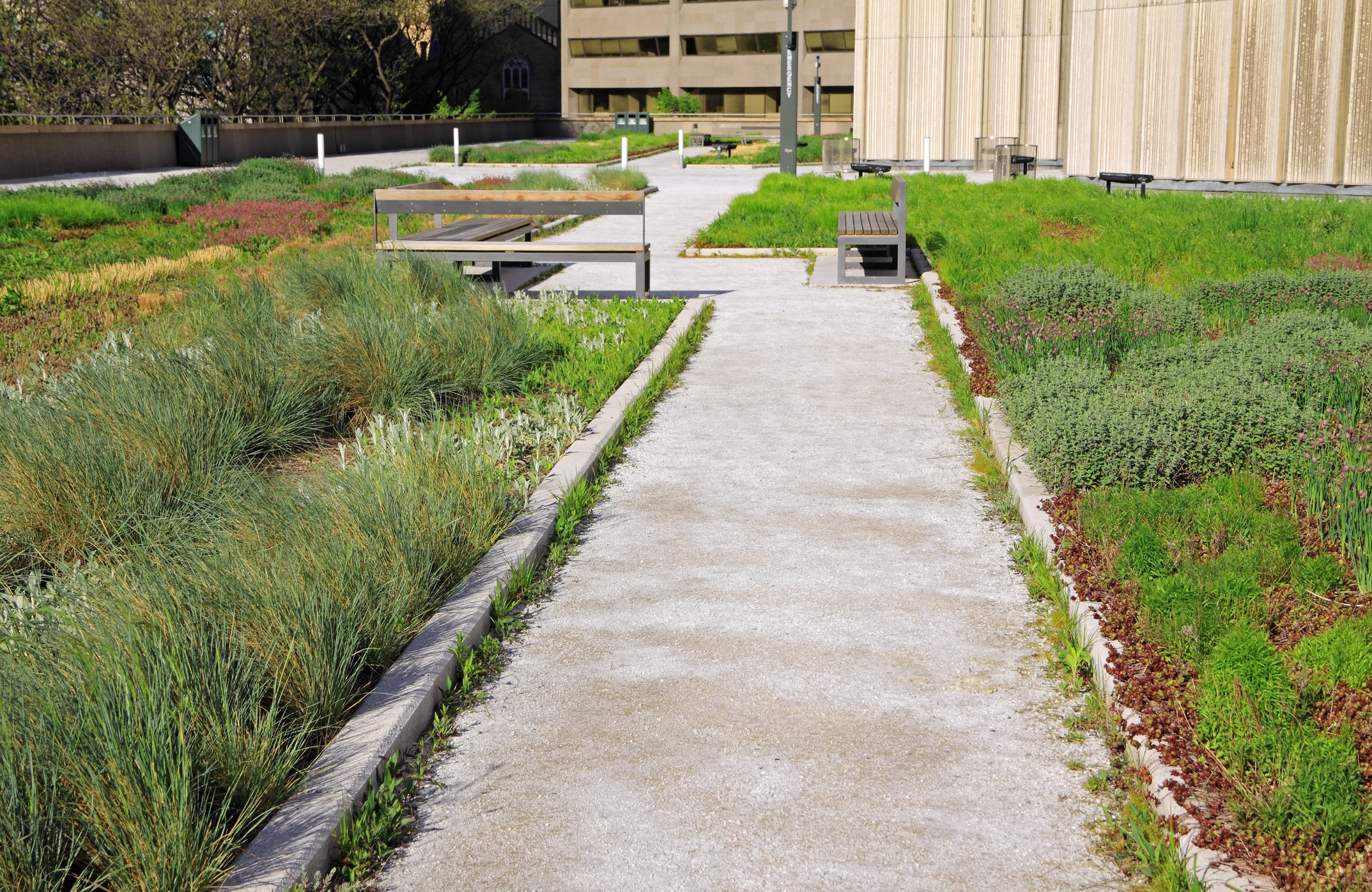 An urban landscape with a gravel pathway flanked by benches and lush greenery leading towards a modern building under a clear sky.