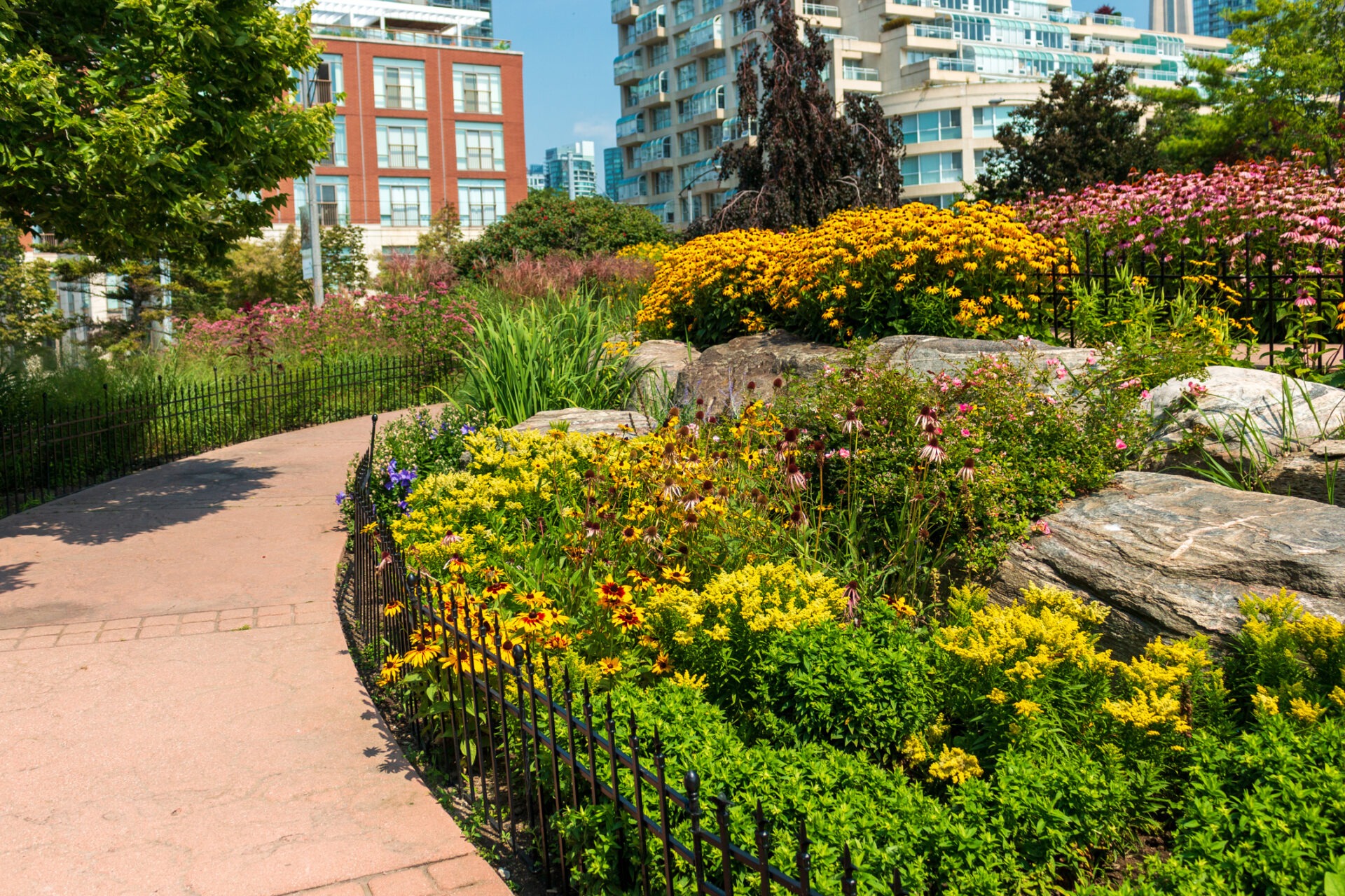 Urban garden with colorful flowers and rocks along a paved path, surrounded by a metal fence, with residential buildings in the background.