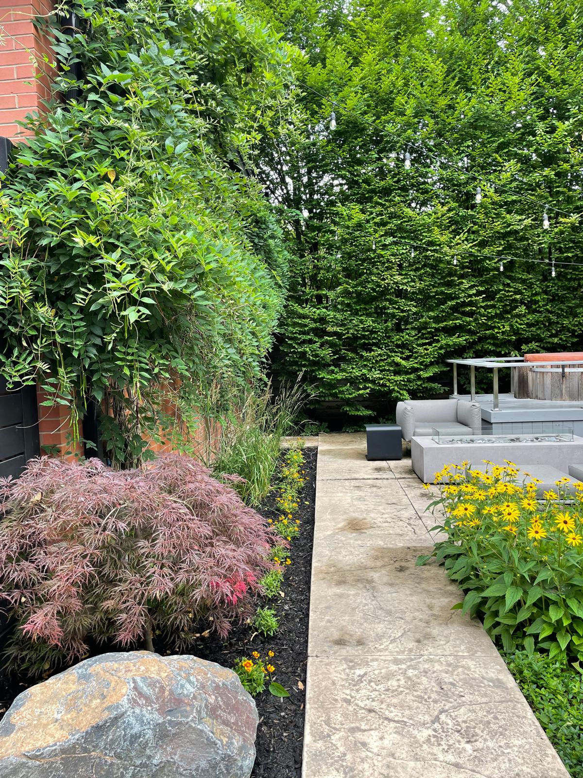 A garden pathway bordered by lush plants with various textures and colors leads to a modern outdoor seating area beside a brick building.