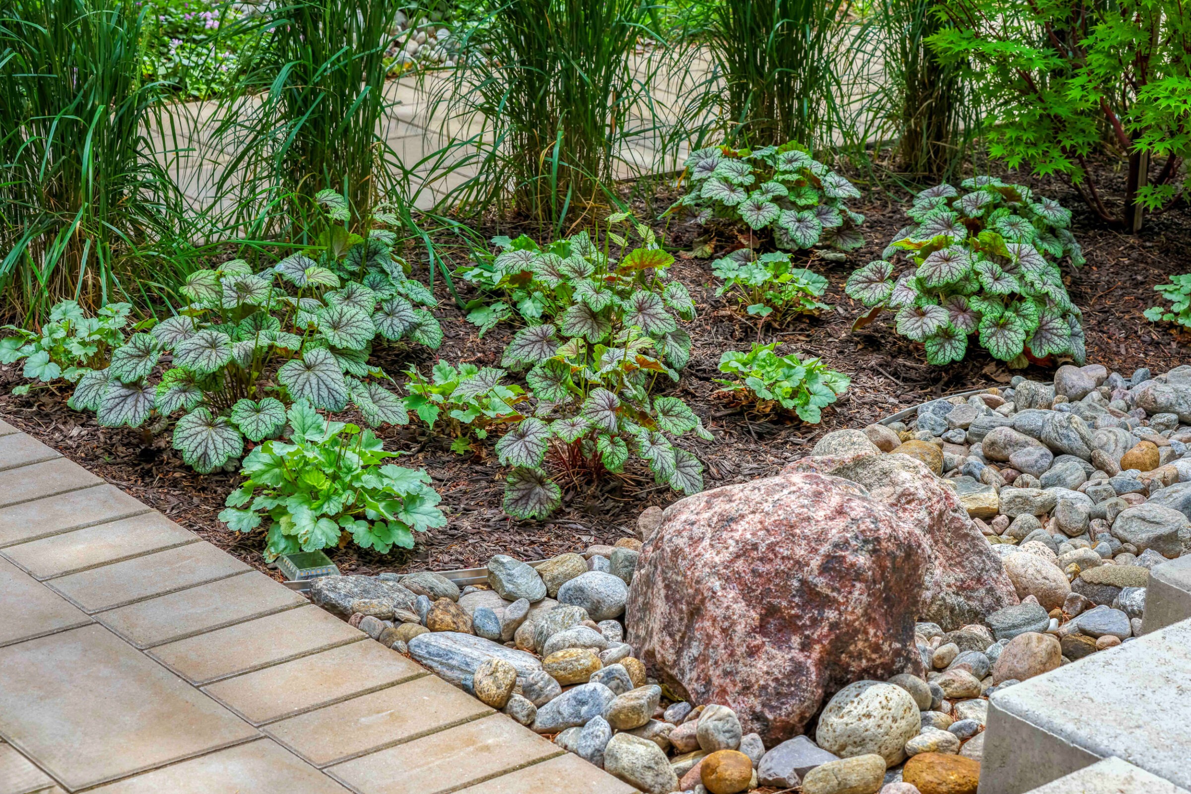 Native plant landscaping in Toronto featuring a small garden and a stone patio.